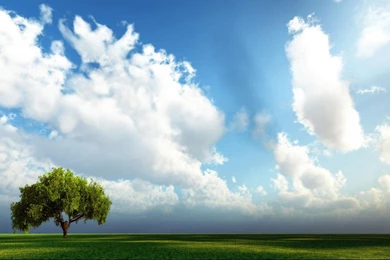 Nature Hd Wallpaper Backgrounds 1366x768 Hd Wallpapers Widescreen