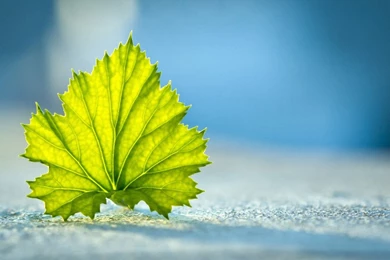 Top Photography Nature Hd Background Images For Pinterest