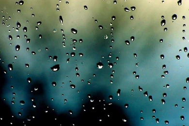 Rain Drops On The Window Wallpapers   Abstract Wallpapers
