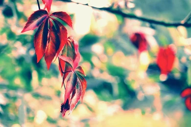 Futuristic Abstract Wallpapers 1080p Gallery Wallpapers