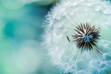 Hd Photography Wallpapers   HD Wallpapers And Pictures