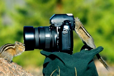 Cameras Beautiful HD Photography   Deep HD Wallpapers For You