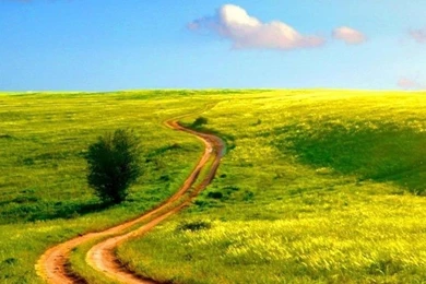 5 Outstanding iPhone 6 Plus Full HD Nature Wallpapers   I Am Qurat