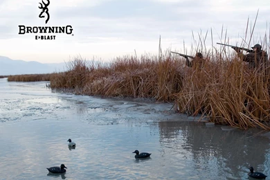 Browning Backgrounds