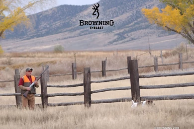 Browning Logo   Wallpaper.