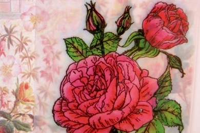 Blending On Vellum By Marie Browning   Tombow USA Blog