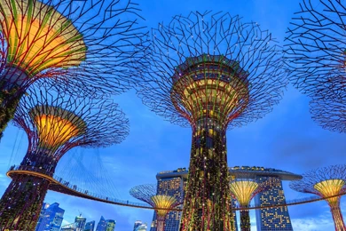 Gardens By The Bay, Singapore Travel 365 National Geographic