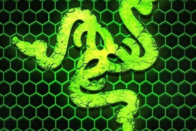 Razer, Brand Icon, The Snakes, The Inscription