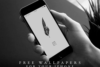Dribbble   Free Illustrated Wallpapers By Jorge Calvo