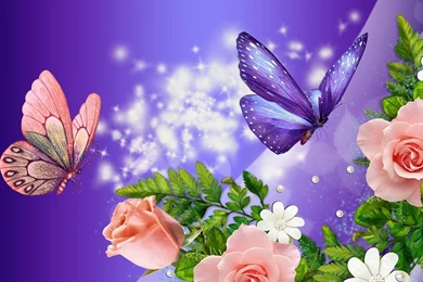 Wallpapers Hd Nature Flower Rose