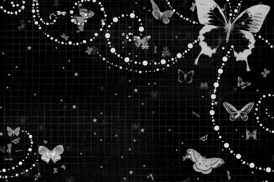 Top Butterfly Abstract Wallpapers For Computer Images For Pinterest