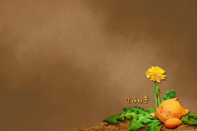 Newgrange Ireland Wallpapers   171999