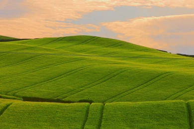 Computer Wallpapers STAY057