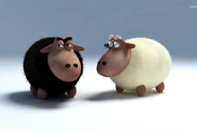 Black And White Sheep Wallpapers   Funny Wallpapers