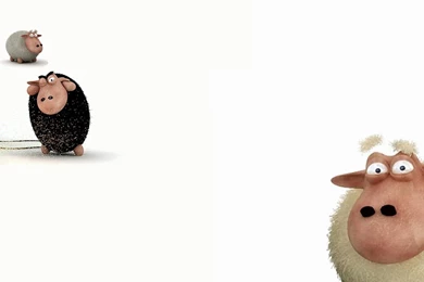 OwdLarrd Funny Sheep Cartoon Sheep Wallpapers