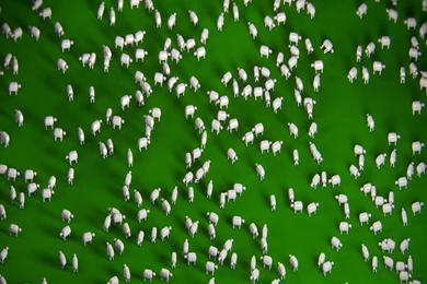 SHEEP WALLPAPER 1680x1050 By Jodroboxes On DeviantArt