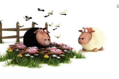 Evil Black Sheep Wallpapers   Funny Wallpapers