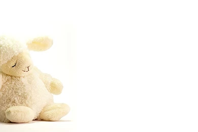 Toy Lamb Wallpapers