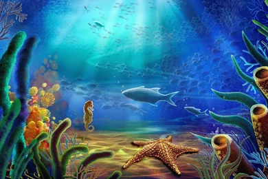 Ocean Life HD Images Fish Wallpapers Hd For Desktop ...