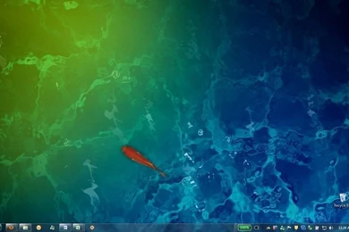 Animated Fish Desktop Wallpapers