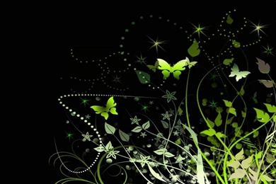 Green Pattern Artistic Flowers Black Backgrounds Butterflies ...