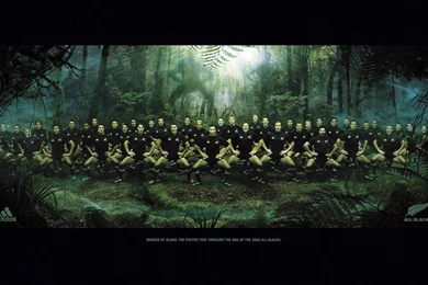 Rugby Bonded 1440x900 Wallpapers, 1440x900 Wallpapers & Pictures ...