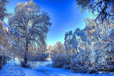 Nice Snow Wallpapers