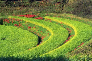 Laptop Wallpapers » WallDevil   Best Free HD Desktop And Mobile ...