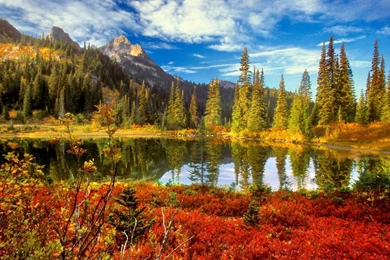 Fall Desktop Wallpapers, Fall Images Free, New Wallpapers