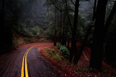 Latest hd wallpapers of nature 4.jpg