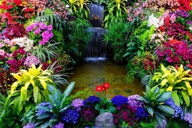 Beautiful HD Nature Wallpapers For Desktop 2013 2014 10.jpg