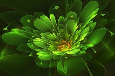 Download Wallpapers 2560x1440 Green, Flower, Background, Colorful ...