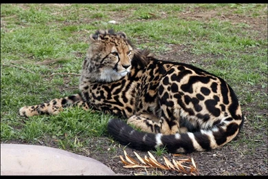 Browse Art   DeviantArt