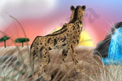 King Cheetah By Ziba On DeviantArt