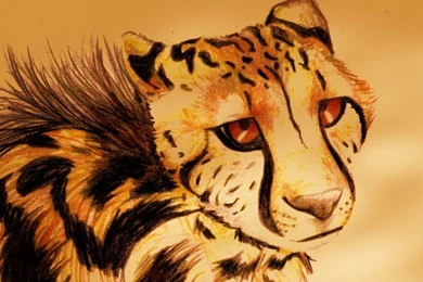 King Cheetah By Master Diess On DeviantArt