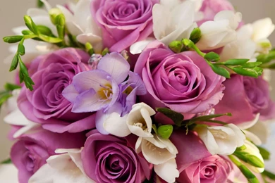 HD Wallpapers Bouquet 2.jpg