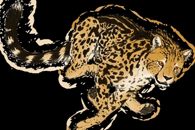 King Cheetah In Flight By Veggie Raptor On DeviantArt