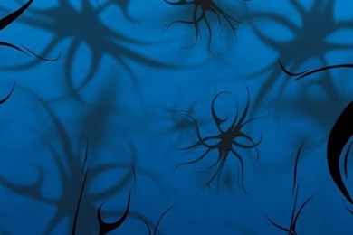 Pinstripes Shadow Backgrounds iPhone 5s Wallpapers Download