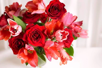 Flowers Wallpapers HD Wallpapers 2005