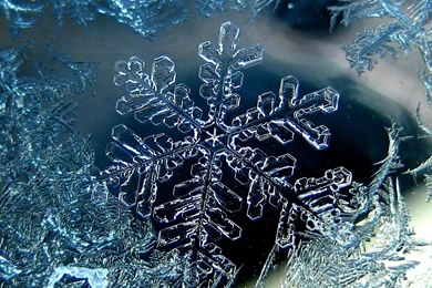 Snowflake_frost_cold_winter_macro_ultra_3840x2160_hd wallpaper 352454.jpg