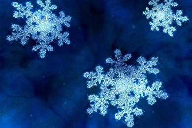 Winter Snowflakes Wallpapers   Crazy Frankenstein