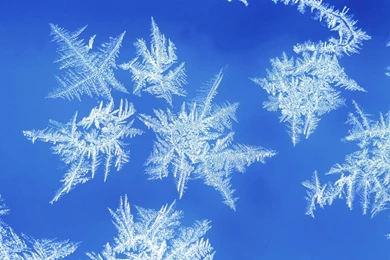 Top Snowflake Picture Wallpaper Images For Pinterest