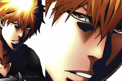 Kurosaki Ichigo/
