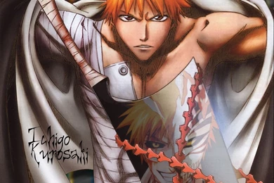 Ichigo   Kurosaki Ichigo Wallpapers (20094977)   Fanpop