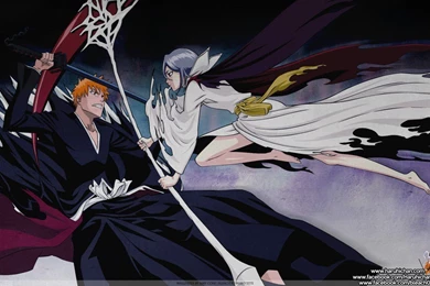ICHIGO   Ichigo Kurosaki Wallpapers (33781736)   Fanpop