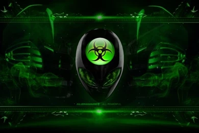 Wallpapers Hacker 1024x768