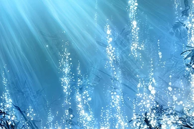 Underwater Nature Hd Wallpapers   (