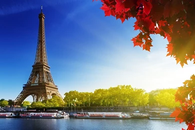 France Eiffel Tower   Wallpaper.