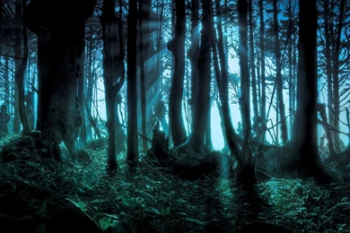 Halloween Pacific Forests Scary Wallpapers