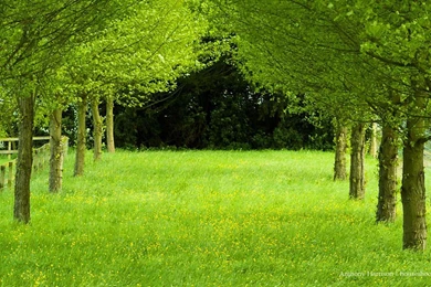 HD Wallpapers 1080p Widescreen Nature Free Download For Desktop Hd ...